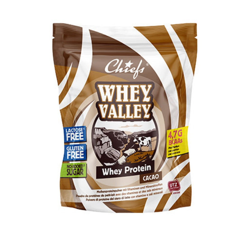 Whey Protein Powder (450g)