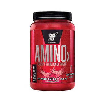 BSN Amino X 70 servings