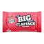 Moose Big Protein Flapjack (12x100g)